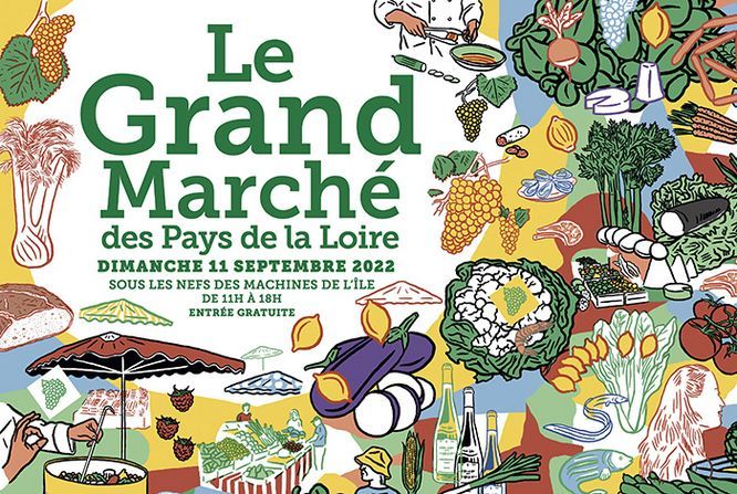 Agrandissement de l'image