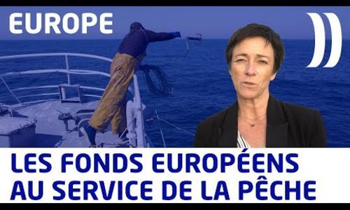 La Région et l’Europe soutiennent les investissements dans la filière pêche (bateau Le Dalit)