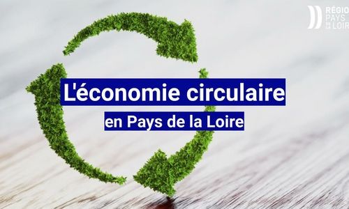 Découvrez Trioworld, engagée dans la transformation du plastique selon en fabrication circulaire.